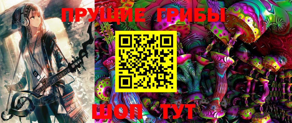 Краснознаменск  Псилоцибиновые грибы Cubensis  Вход с VPN 
