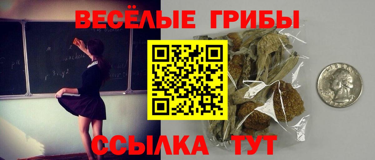 Галлюциногенные грибы мухоморы Краснознаменск